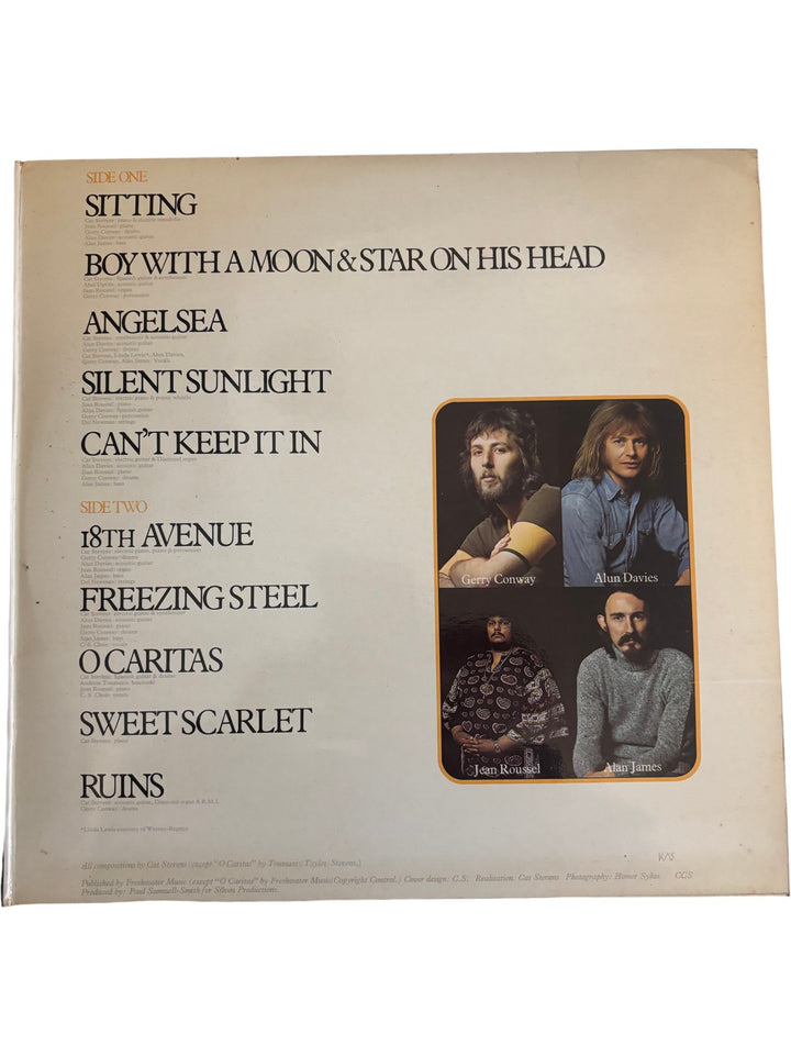 1970s Cat Stevens Catch Bull At Four Vinyl - Good - Think Vintage ltd