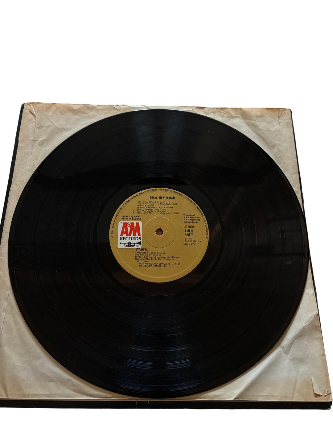 1972 Strawbs Grave New World Vinyl Record - Good - Think Vintage ltd