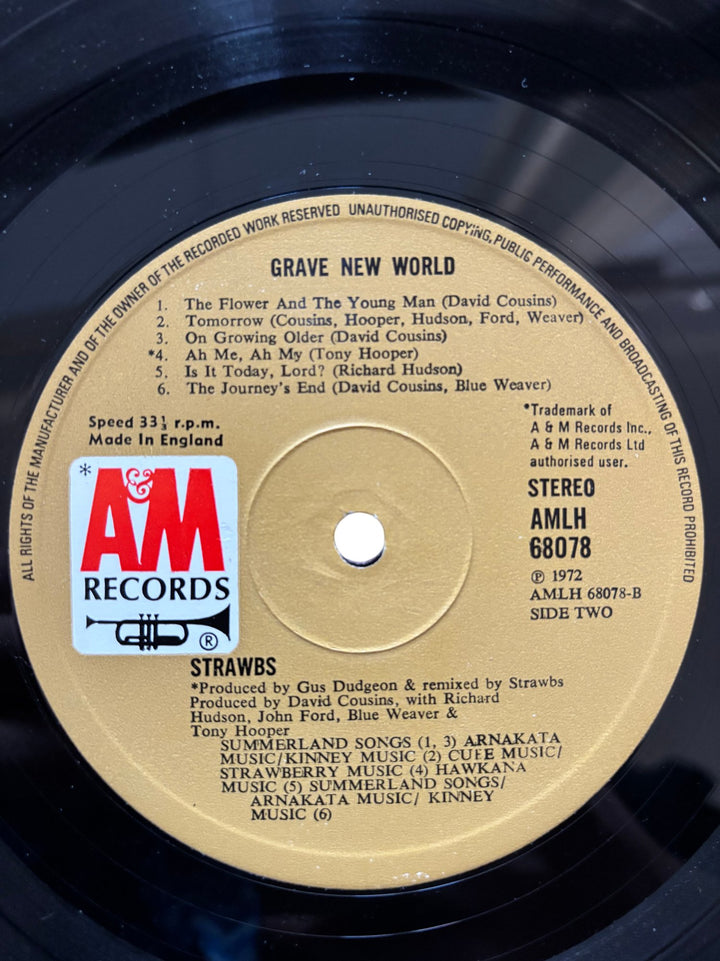 1972 Strawbs Grave New World Vinyl Record - Good - Think Vintage ltd