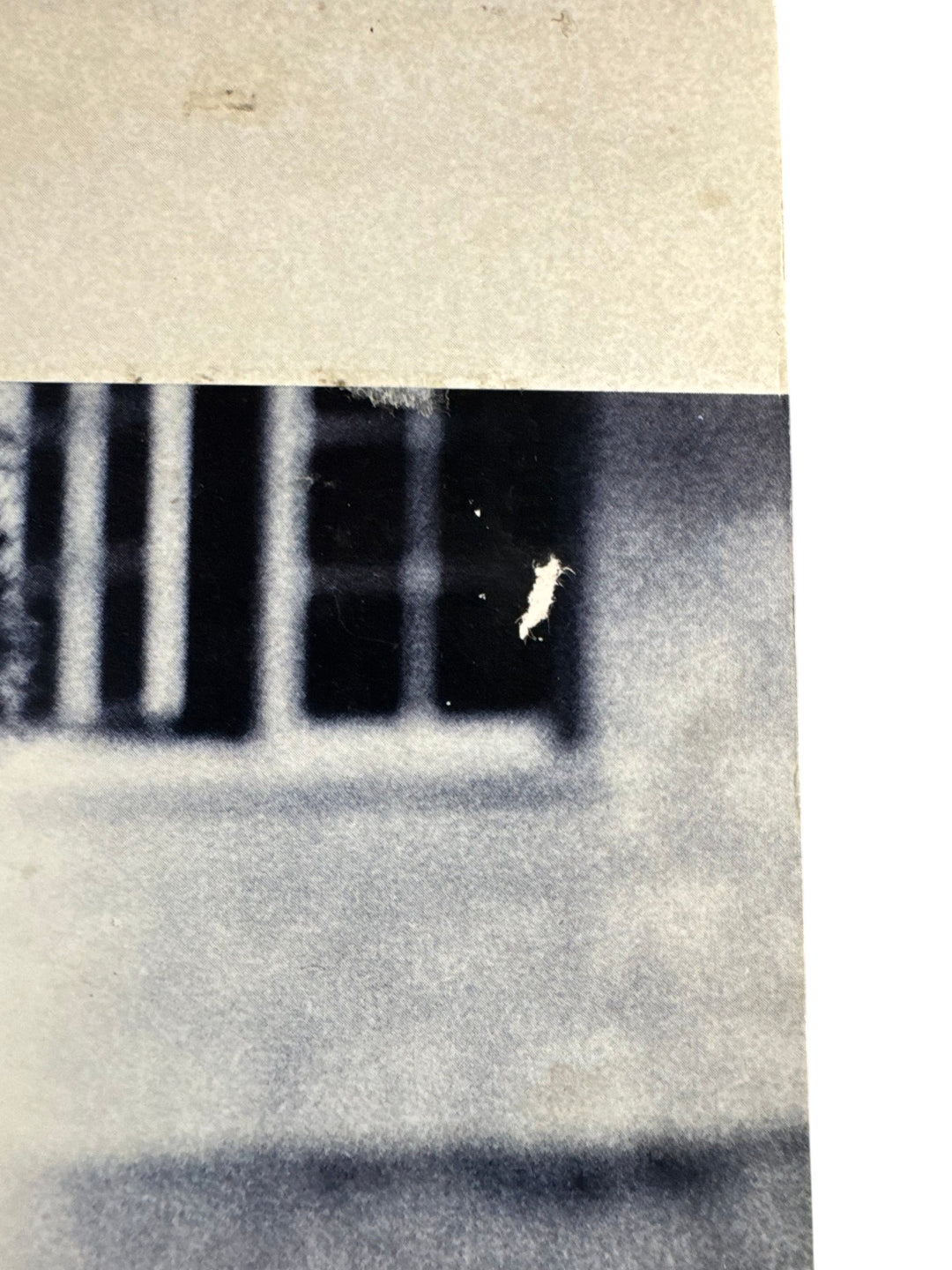 1980s Sting The Dream of the Blue Turtles Vinyl Record - Think Vintage