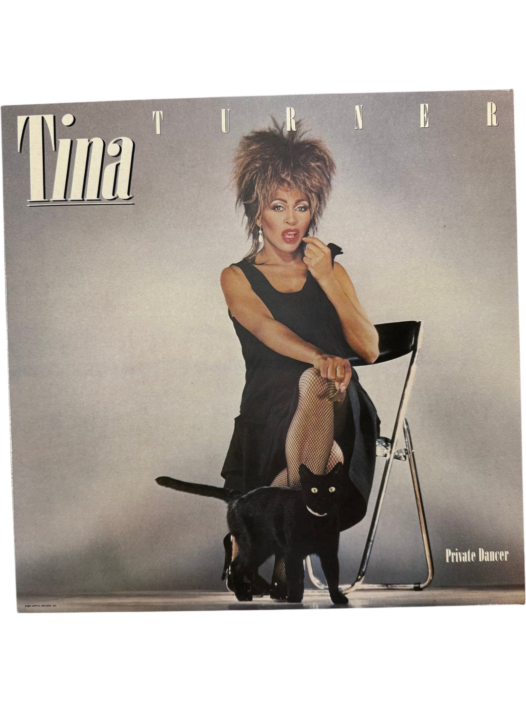 1984 Private Dancer Vinyl by Tina Turner - Think Vintage