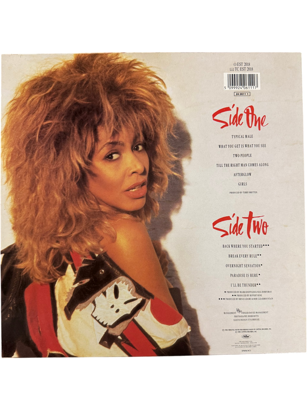 1986 Break Every Rule Vinyl Record by Tina Turner - Think Vintage