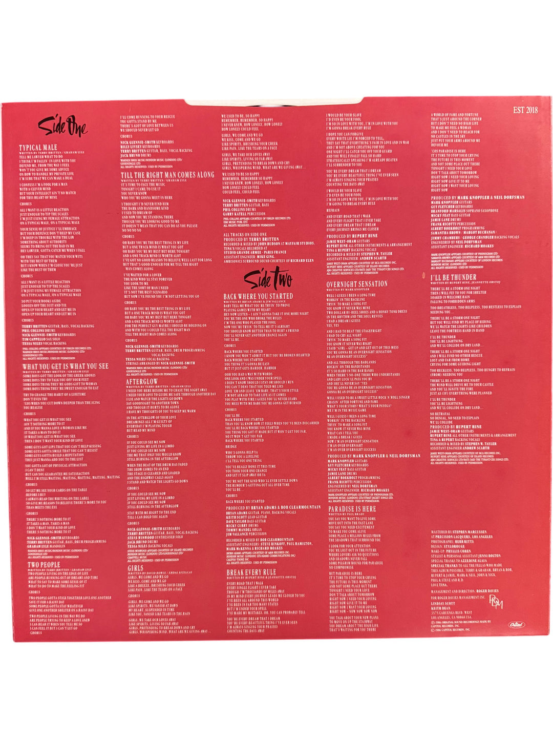 1986 Break Every Rule Vinyl Record by Tina Turner - Think Vintage Online Ltd