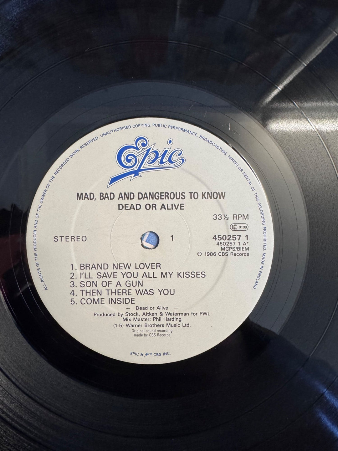 Dead Or Alive Mad Bad And Dangerous To Know Vinyl - Very Good