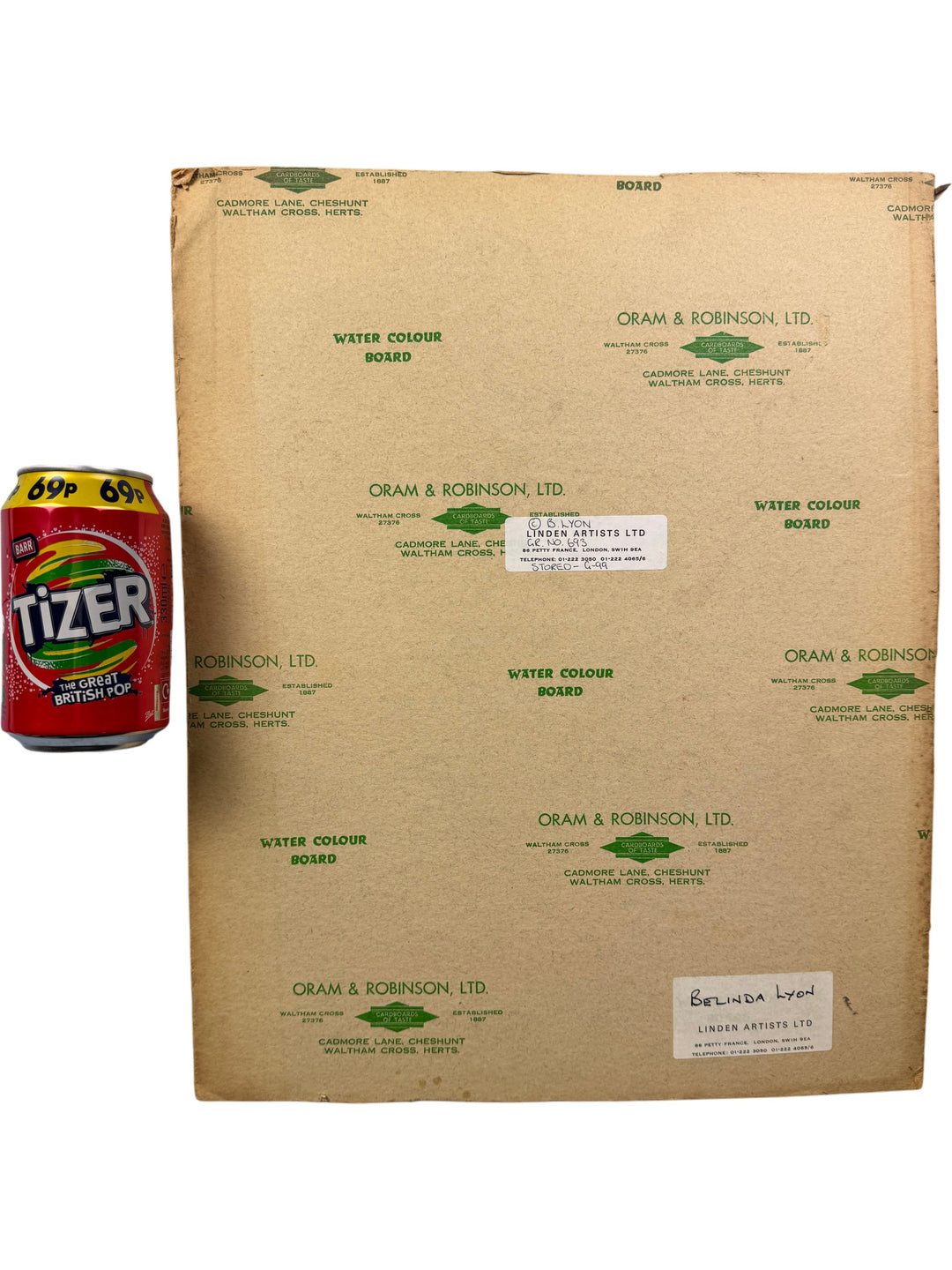 Floral Illustration on Watercolour Board