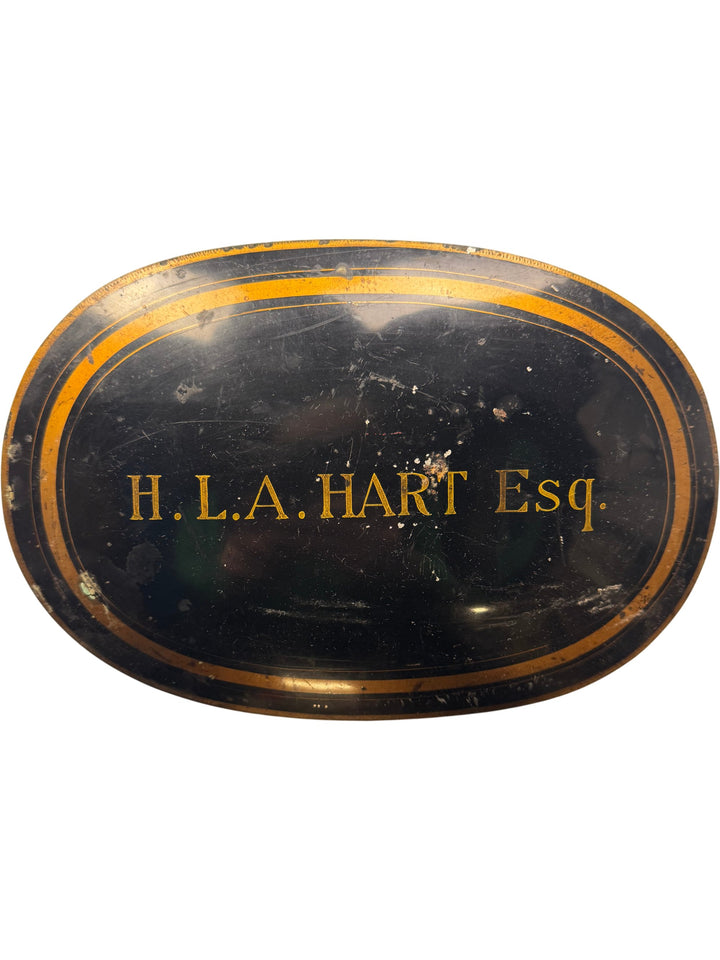 Ravenscroft Barrister Wig With Case