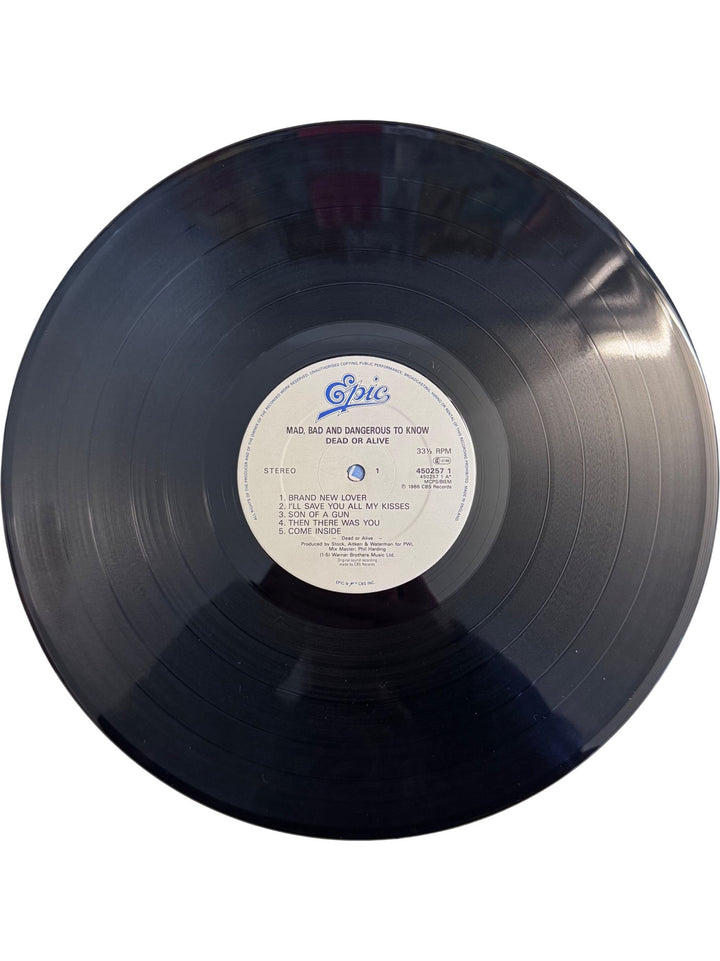 Dead Or Alive Mad Bad And Dangerous To Know Vinyl - Very Good