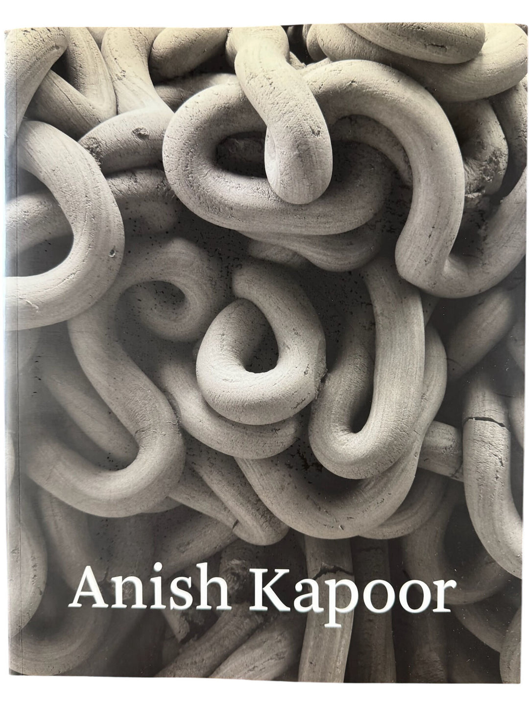 Anish Kapoor Art Book