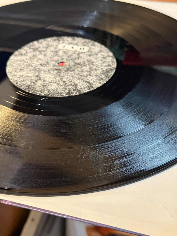 The Birthday Party The Bad Seed Vinyl Record