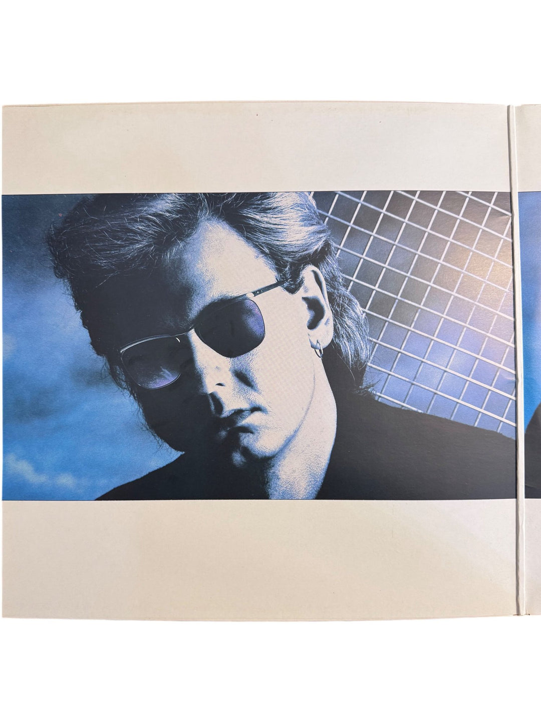 Dead Or Alive Mad Bad And Dangerous To Know Vinyl - Very Good