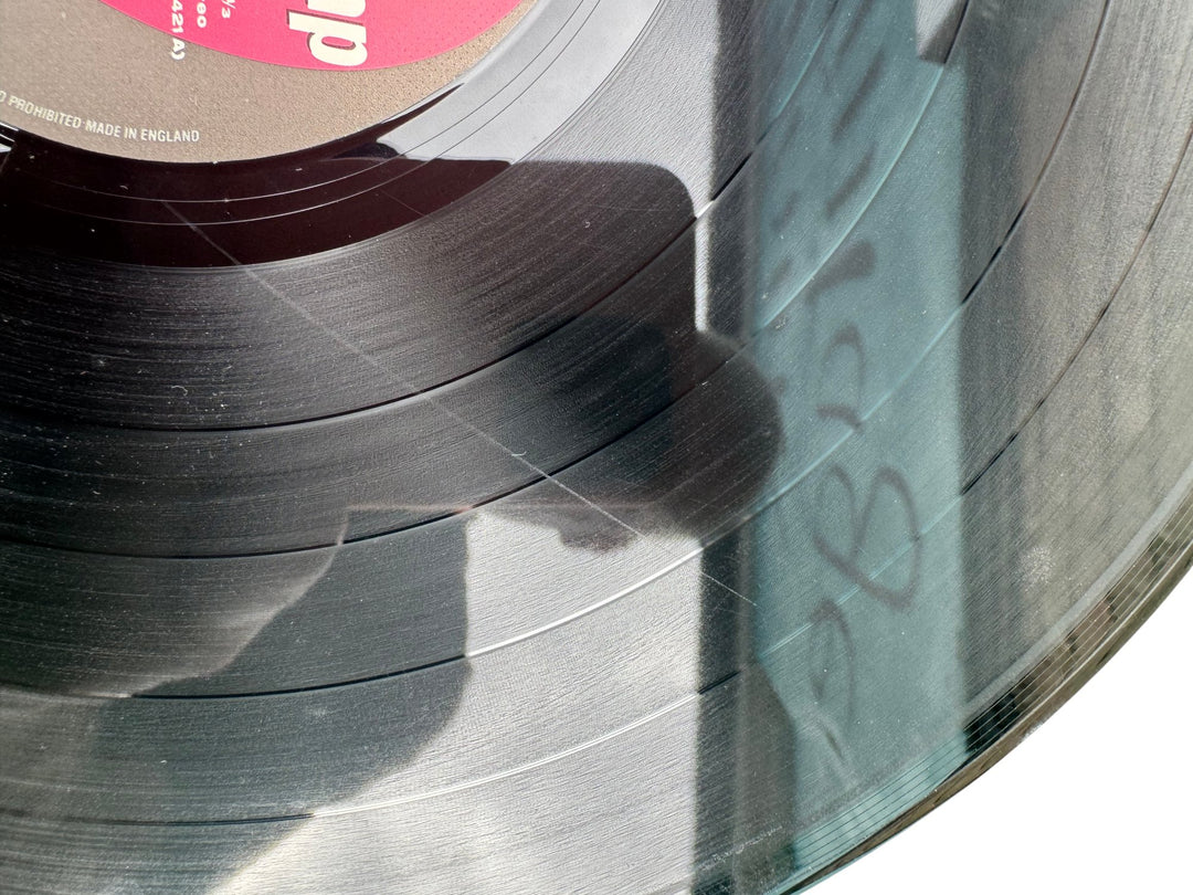 Transvision Vamp Pop Art Vinyl Record - Think Vintage