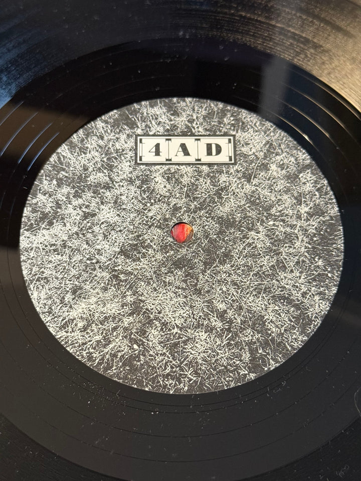 The Birthday Party The Bad Seed Vinyl Record