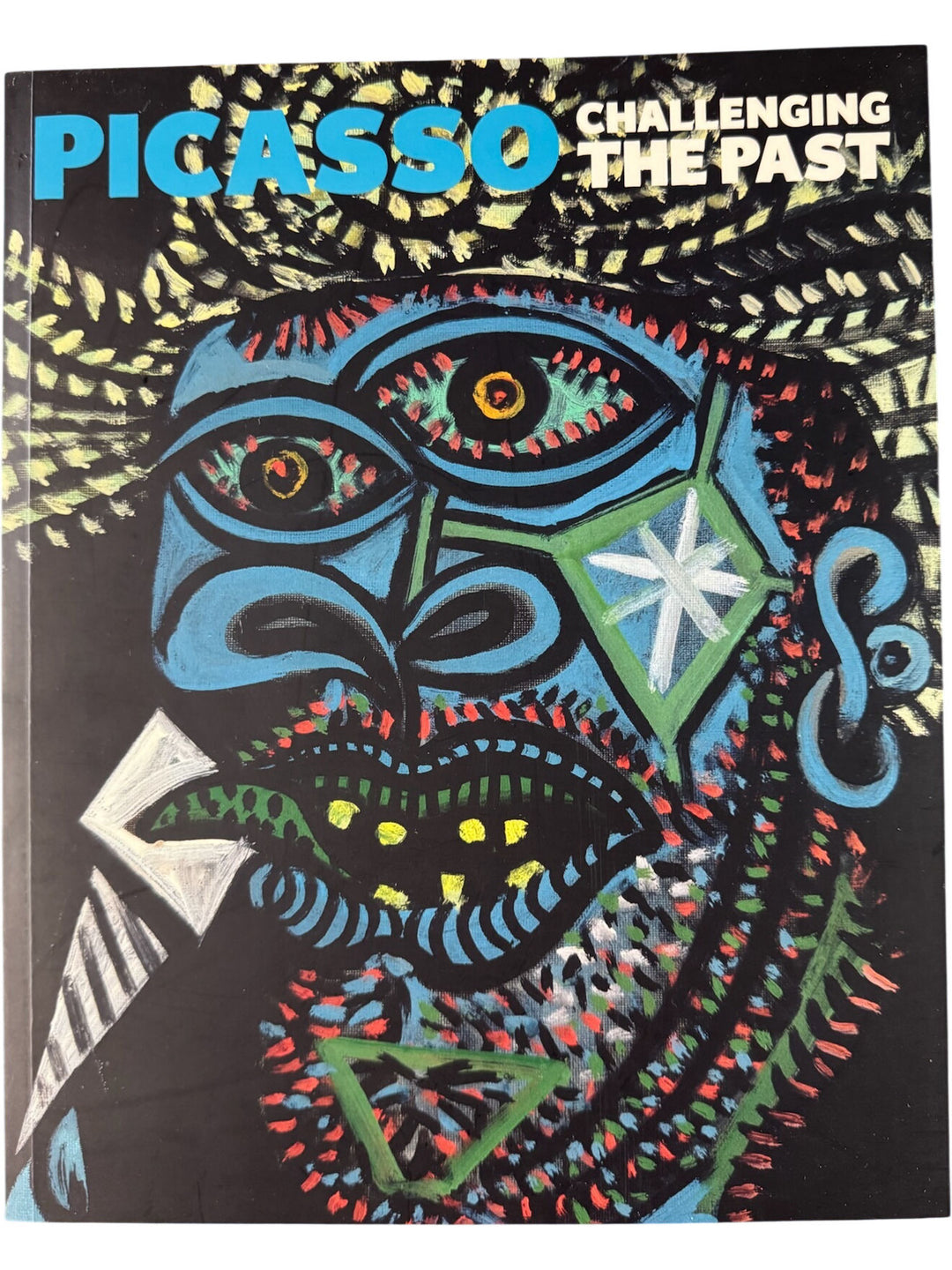 Picasso Challenging The Past Book