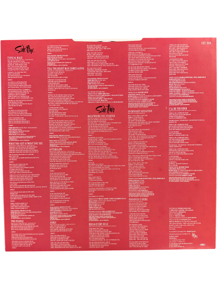 1986 Break Every Rule Vinyl Record by Tina Turner - Think Vintage
