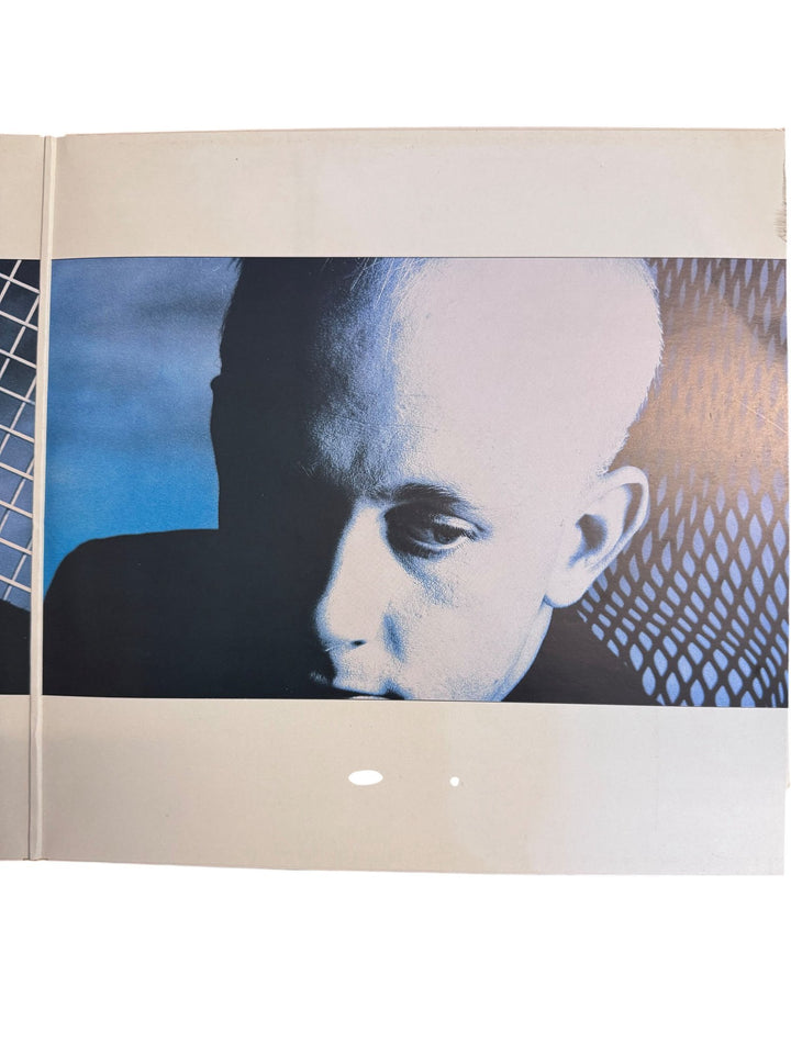 Dead Or Alive Mad Bad And Dangerous To Know Vinyl - Very Good