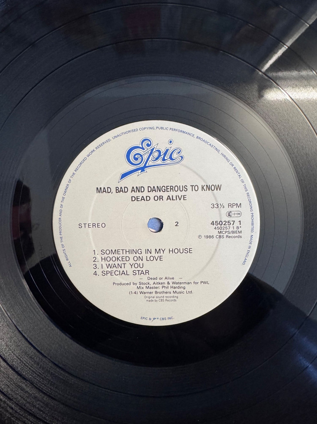 Dead Or Alive Mad Bad And Dangerous To Know Vinyl - Very Good