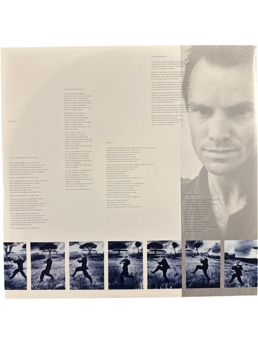 1980s Sting The Dream of the Blue Turtles Vinyl Record - Think Vintage