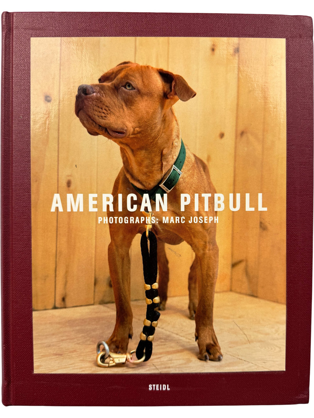 American Pitbull Dog Photography Book - Think Vintage ltd