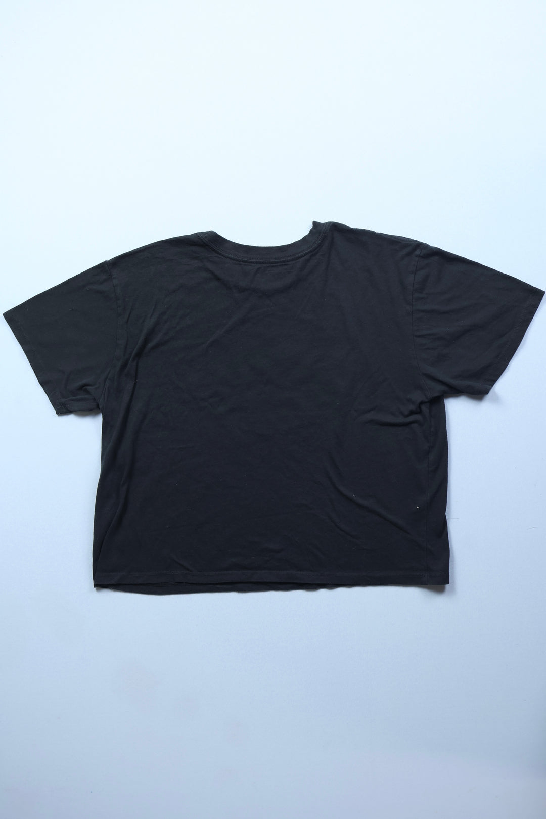 Cropped Dickies T-Shirt