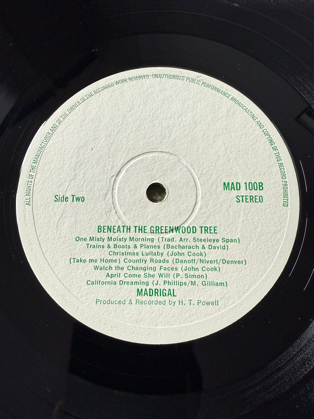 Beneath The Greenwood Tree Vinyl Record - Think Vintage