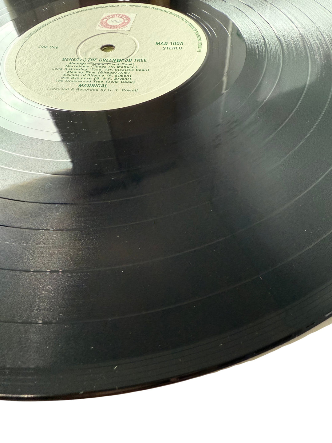 Beneath The Greenwood Tree Vinyl Record - Think Vintage