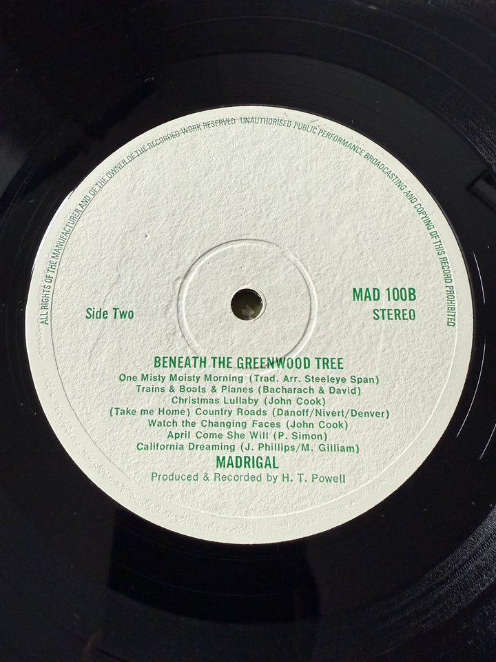 Beneath The Greenwood Tree Vinyl Record - Think Vintage ltd