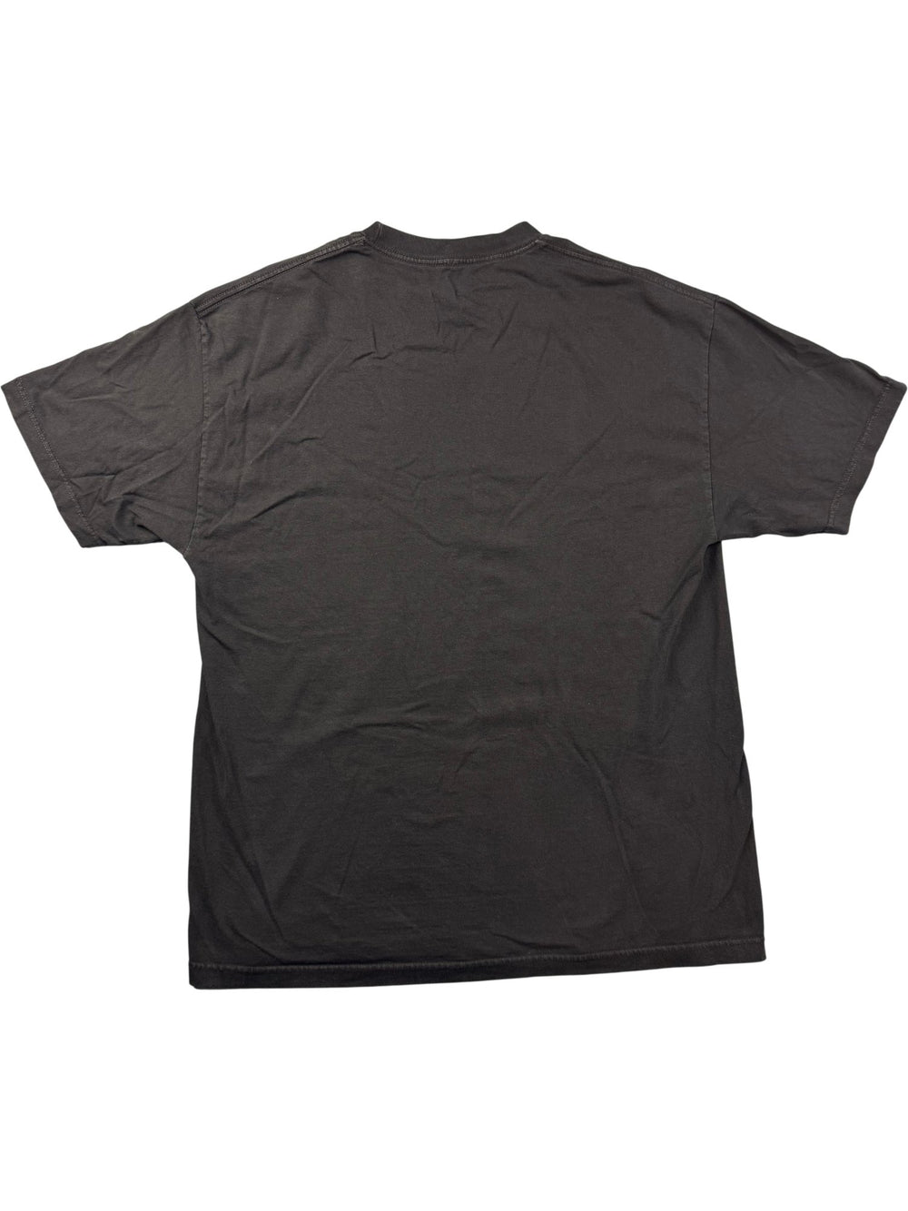 Buffalo Airways Graphic T-Shirt - M - Think Vintage ltd