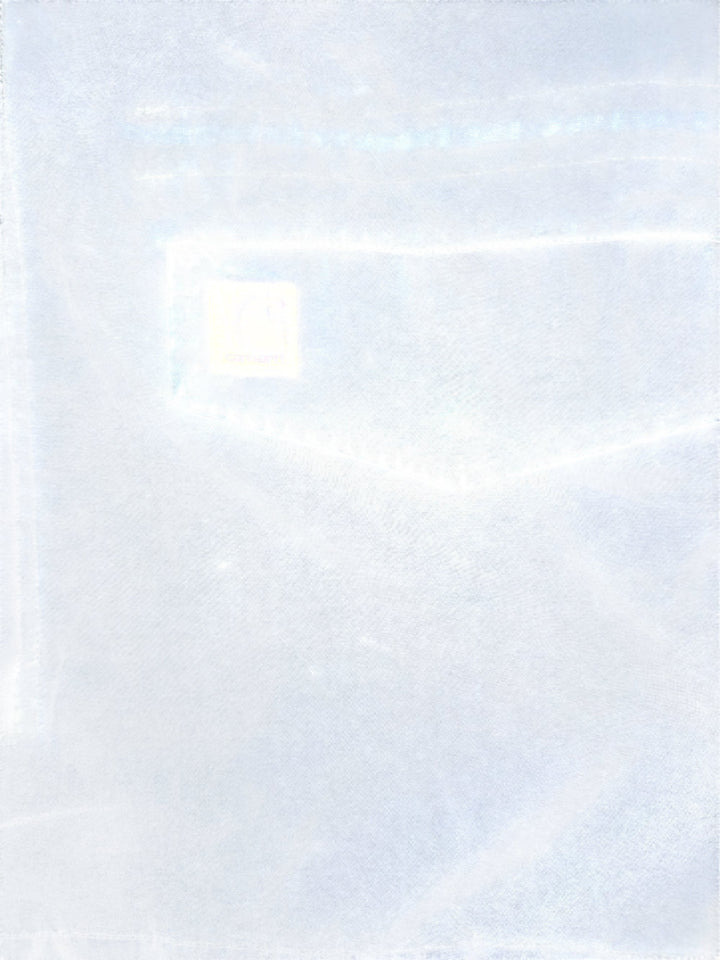 Carhartt Hooded Parka Coat - XL - Think Vintage Online Ltd