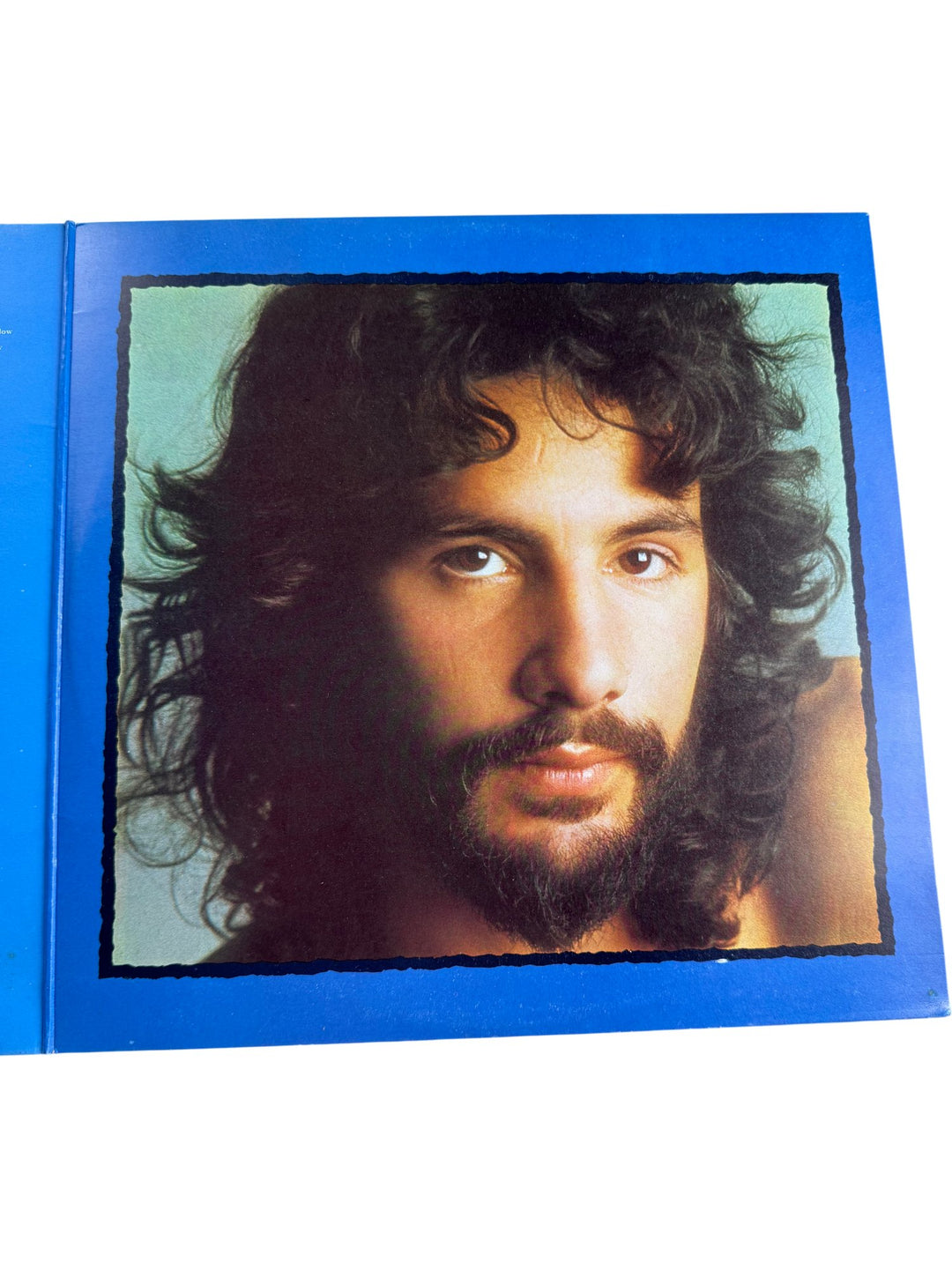 Cat Stevens Teaser and the Firecat Vinyl - Very Good