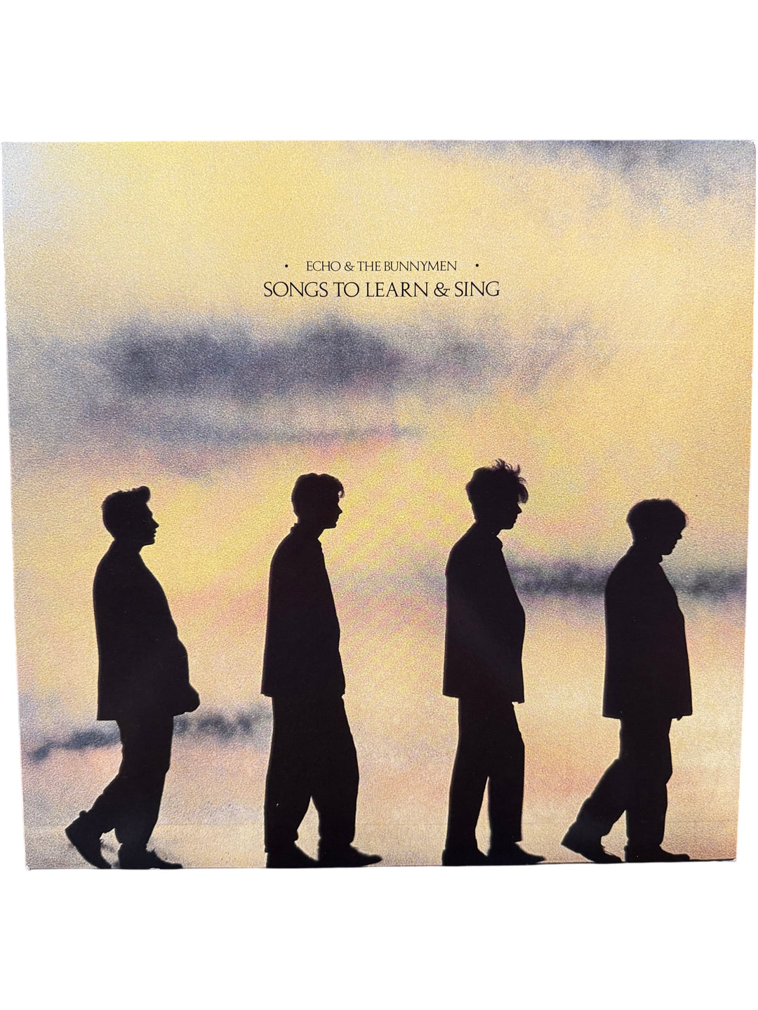 Echo & The Bunnymen Songs To Learn And Sing Vinyl - Think Vintage