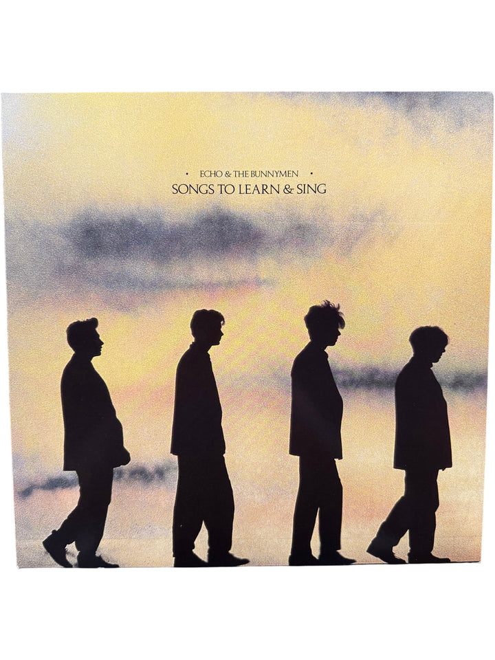 Echo & The Bunnymen Songs To Learn And Sing Vinyl - Think Vintage
