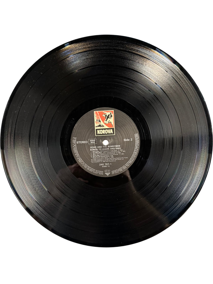 Echo & The Bunnymen Songs To Learn And Sing Vinyl - Think Vintage