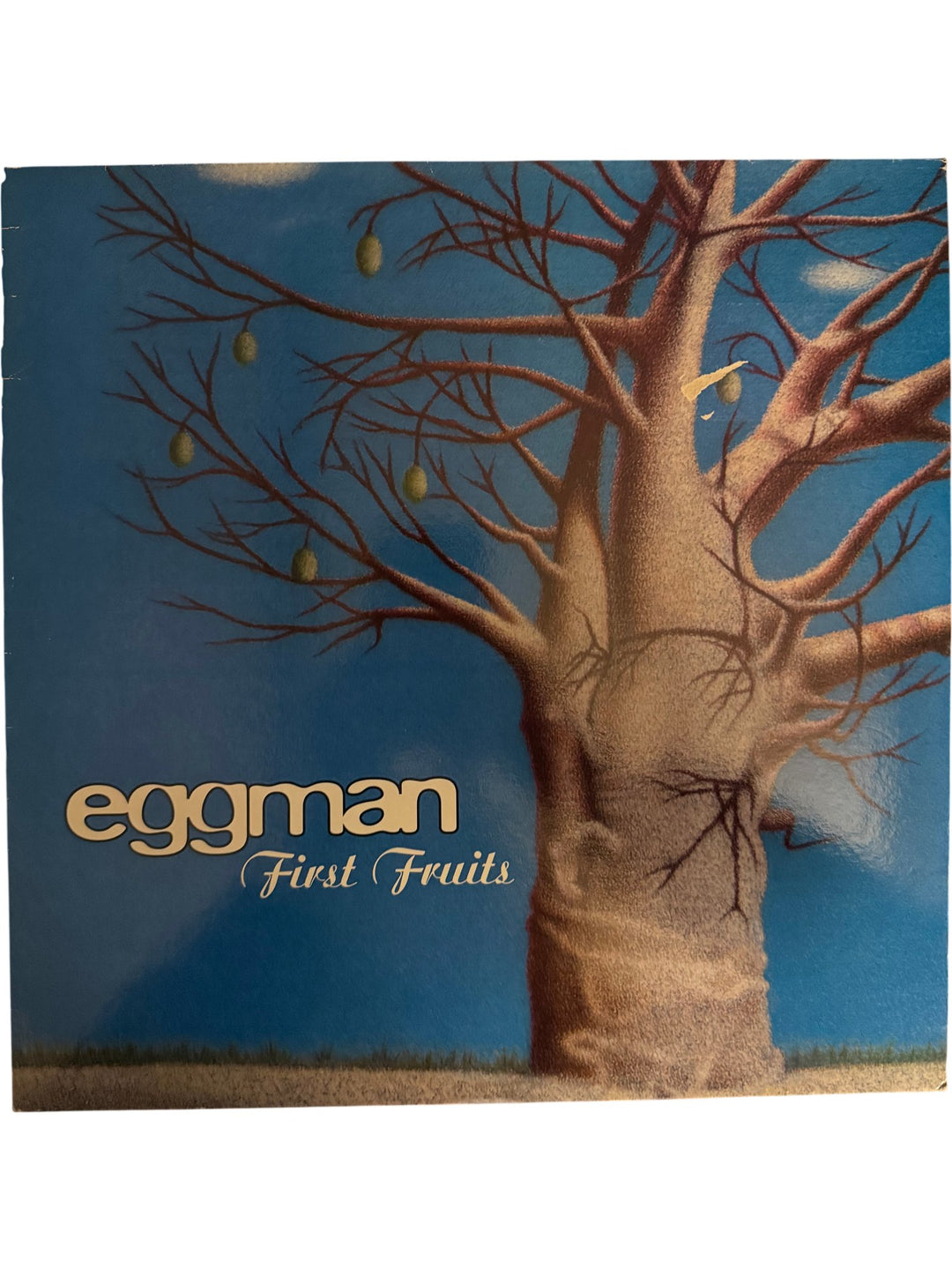 Eggman First Fruits Vinyl Album - Good - Think Vintage ltd