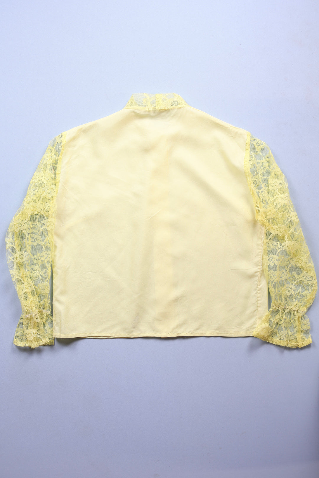 Button up Sheered Sleeved Blouse