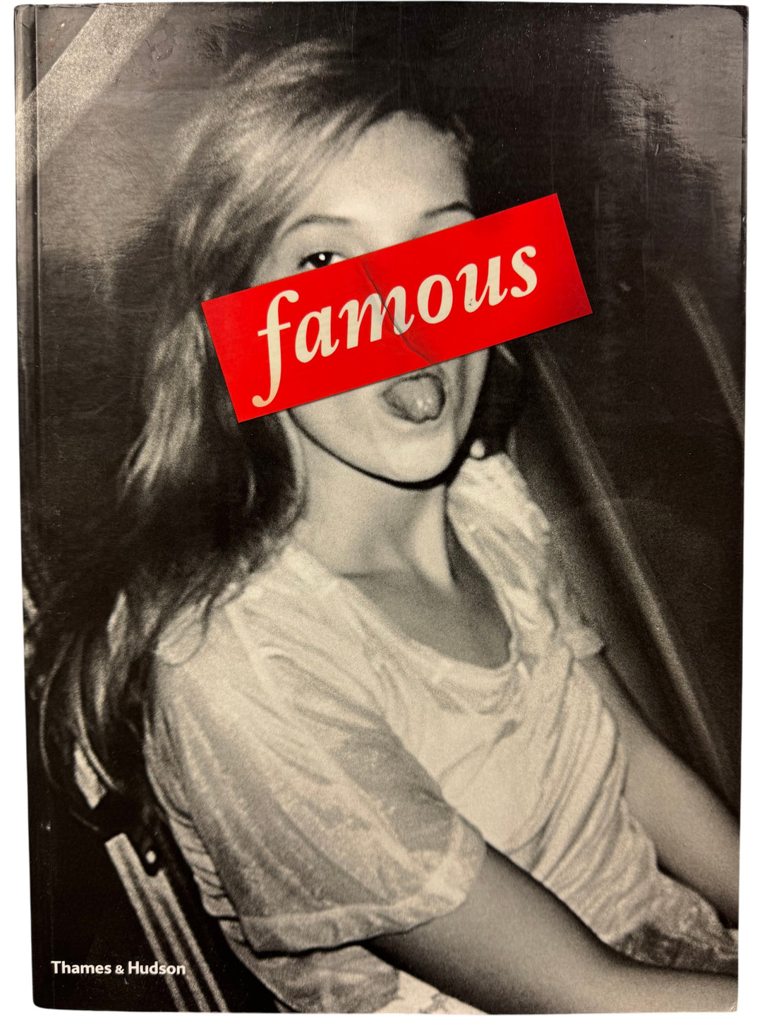 Famous Photography Book by Thames & Hudson - Think Vintage ltd