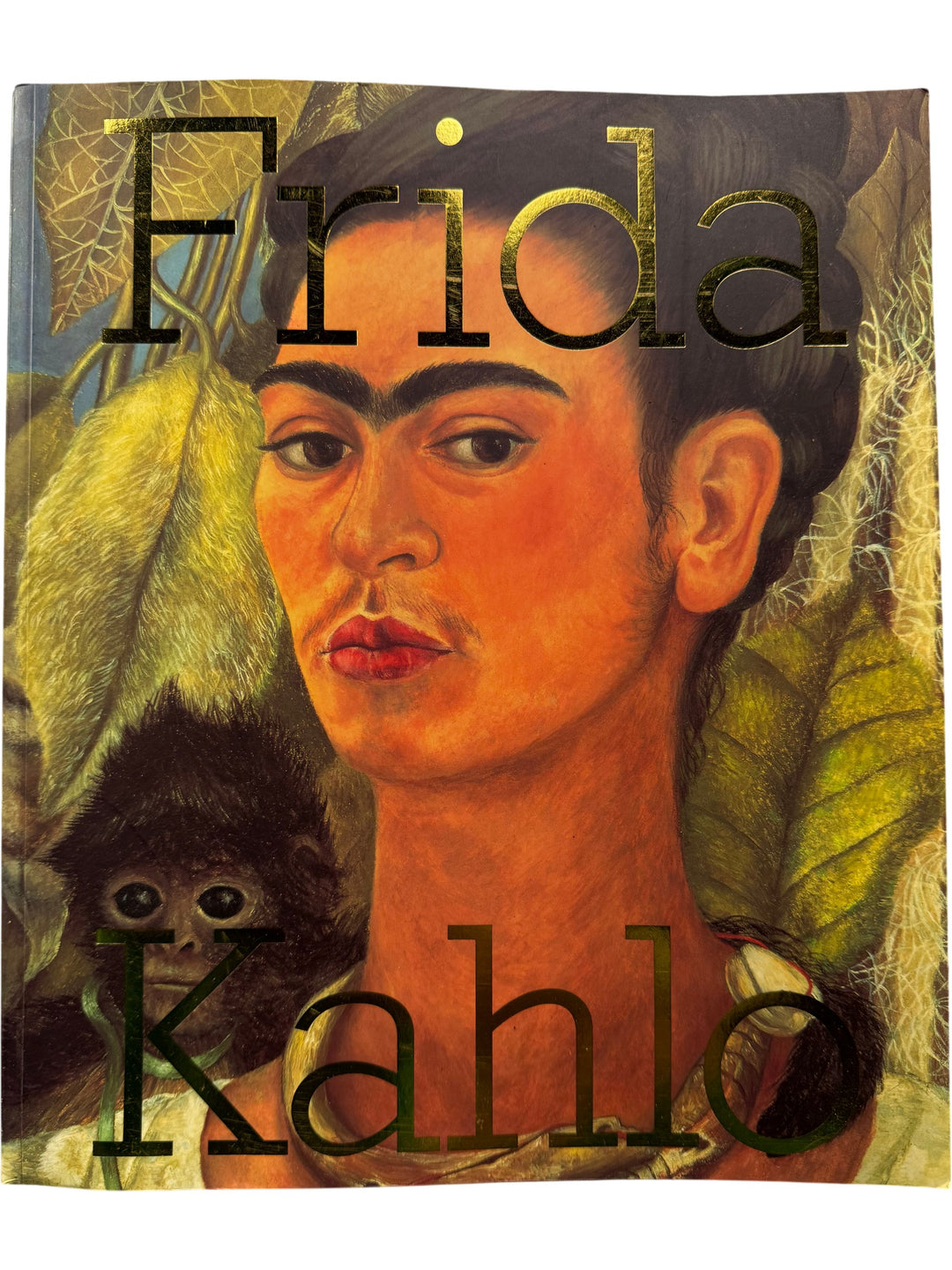 Frida Kahlo Illustrated Art Book - Think Vintage ltd