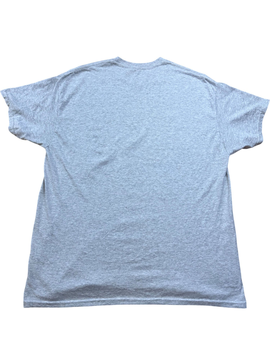 Gildan Fireball Cinnamon Whisky T-Shirt - M
