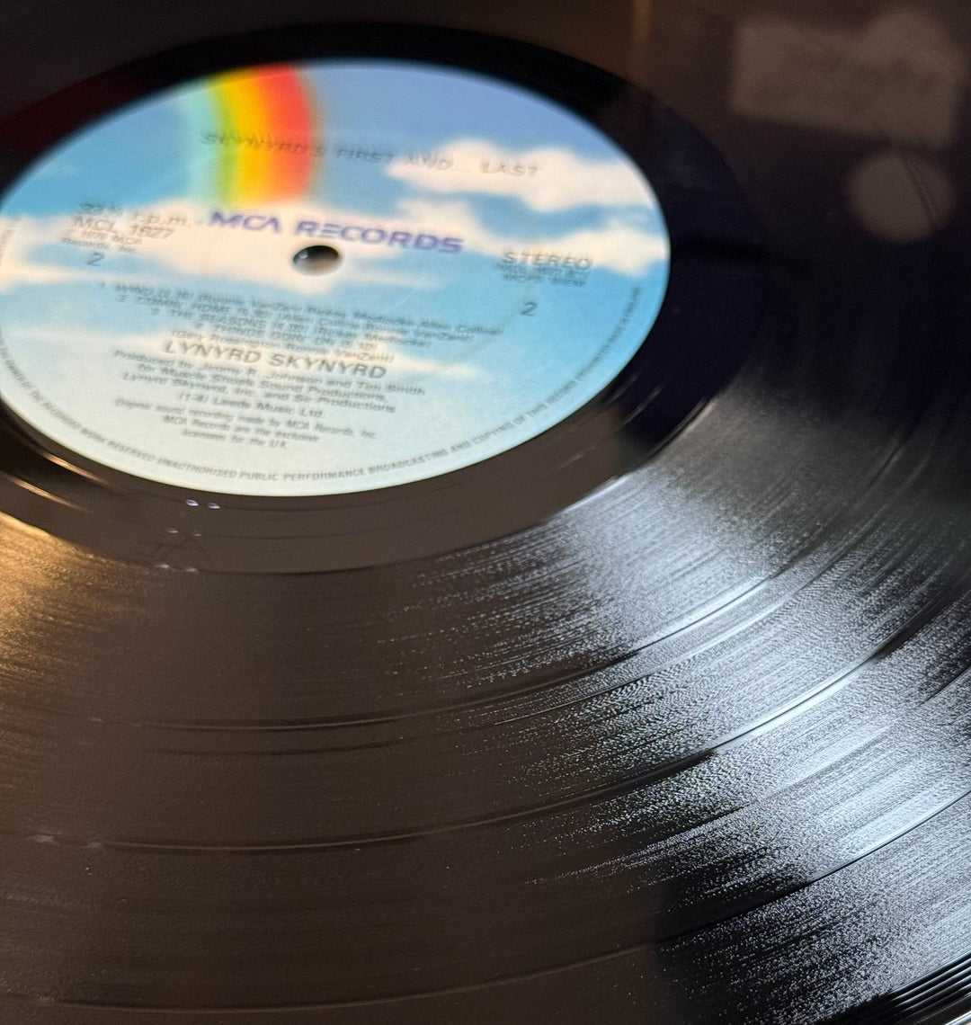 Lynyrd Skynyrd First and Last Album - Think Vintage Online Ltd