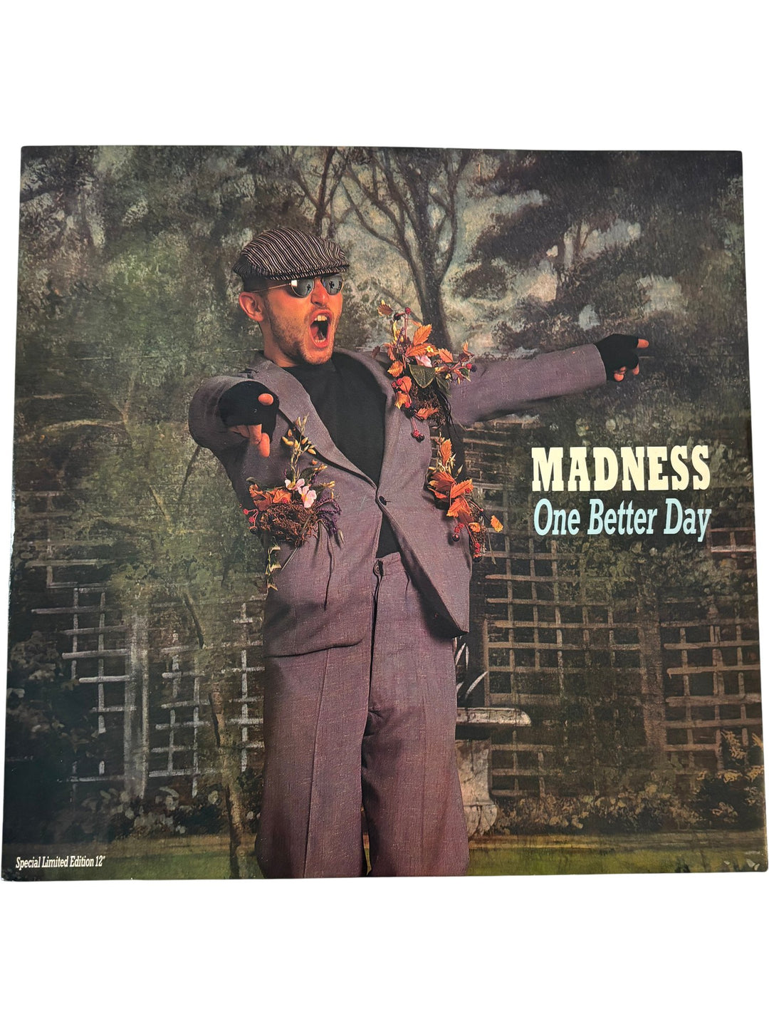Madness One Better Day Vinyl - Mint - Think Vintage ltd