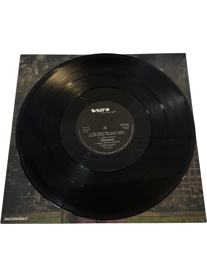 Madness One Better Day Vinyl - Mint - Think Vintage ltd
