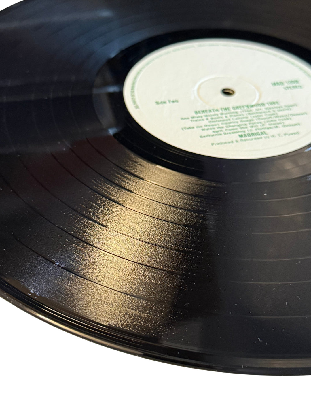 Madrigal Beneath The Greenwood Tree Vinyl - Think Vintage