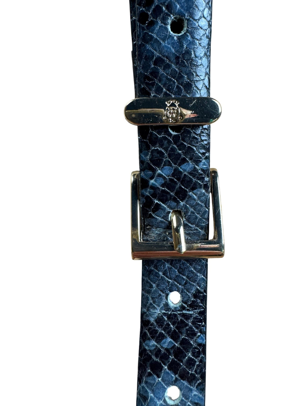 Massimo Dutti Blue Snakeskin Belt - W28-32 - Think Vintage ltd