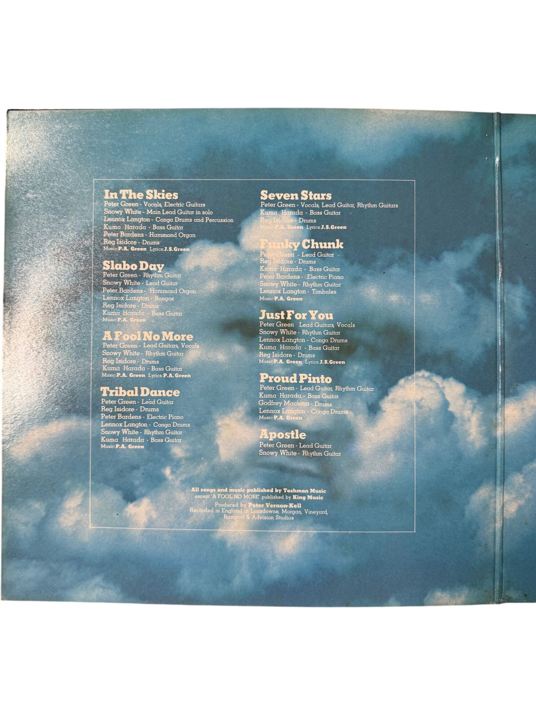 Peter Green In The Skies Vinyl Record - Very Good