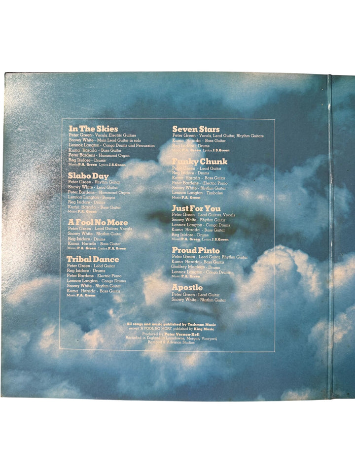 Peter Green In The Skies Vinyl Record - Very Good