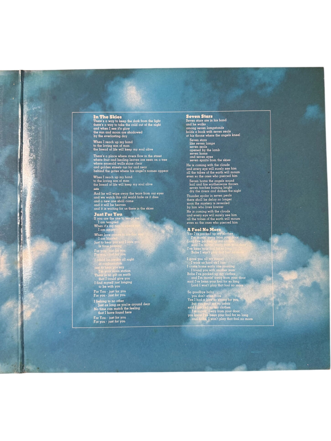 Peter Green In The Skies Vinyl Record - Very Good