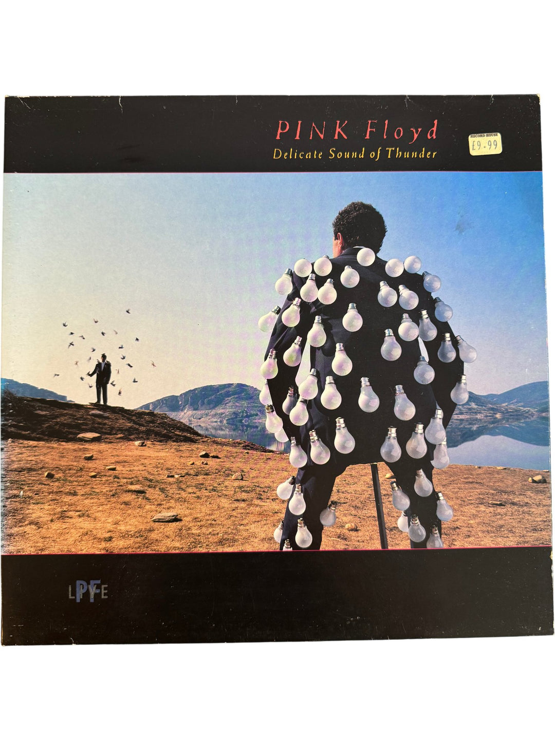 Pink Floyd Delicate Sound Of Thunder Vinyl - Fair - Think Vintage ltd
