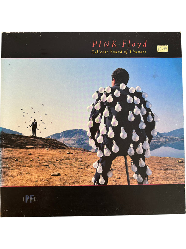 Pink Floyd Delicate Sound Of Thunder Vinyl - Fair - Think Vintage ltd