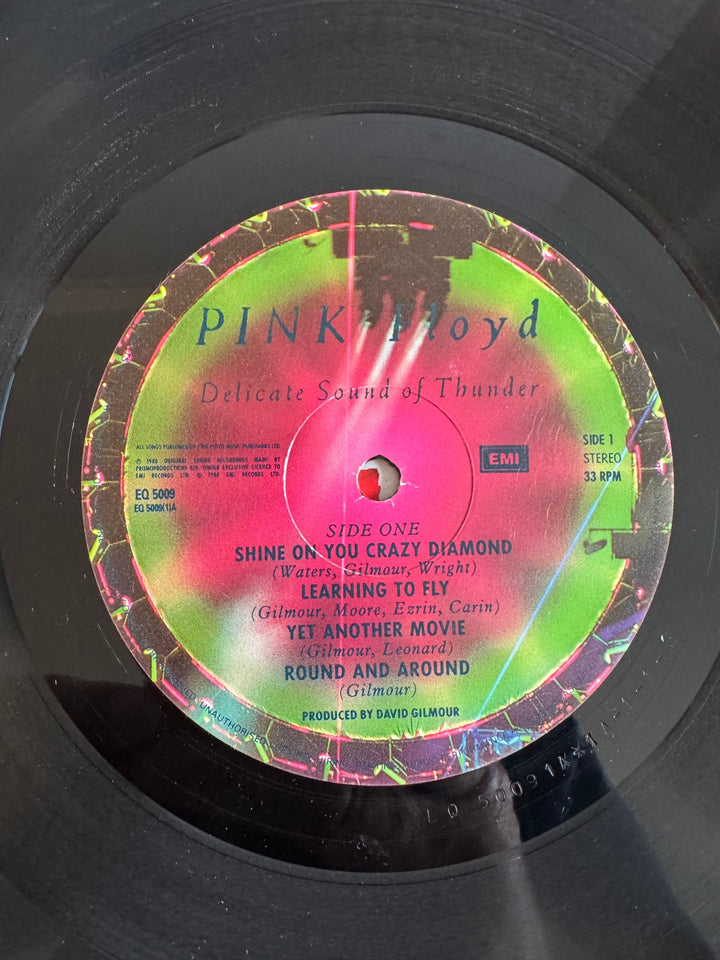Pink Floyd Delicate Sound Of Thunder Vinyl - Fair - Think Vintage ltd