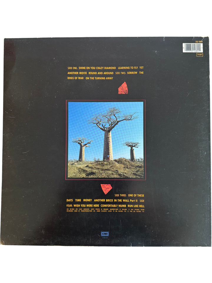 Pink Floyd Delicate Sound Of Thunder Vinyl - Fair - Think Vintage ltd