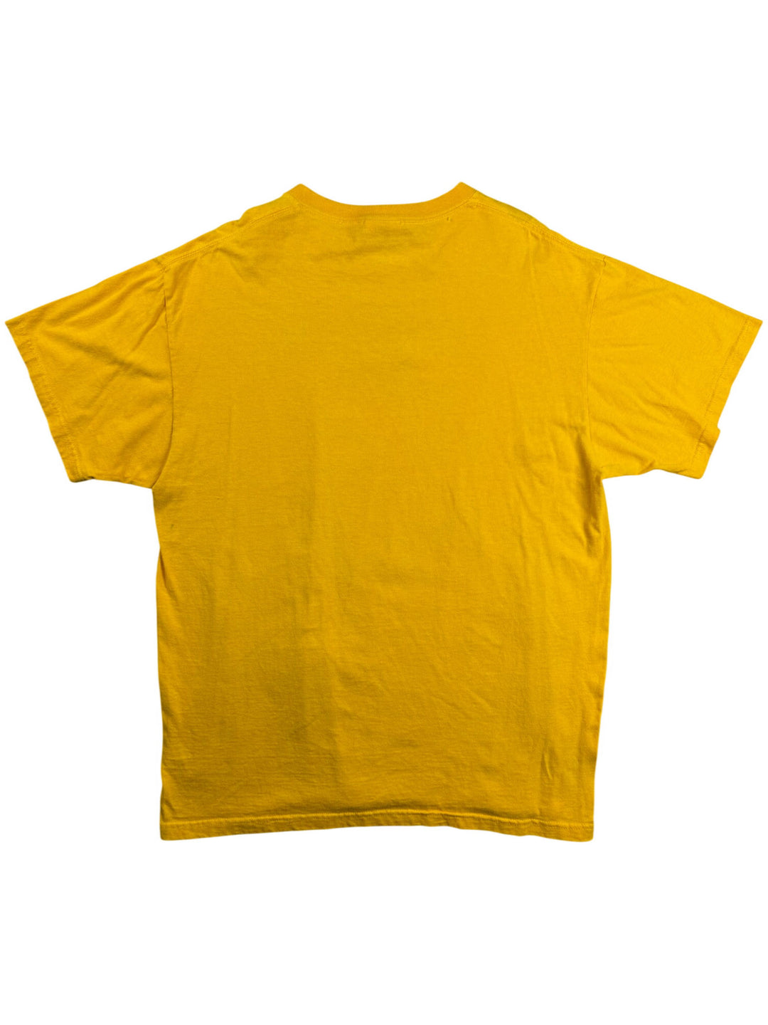 Port And Company Eagle Graphic T-Shirt - L